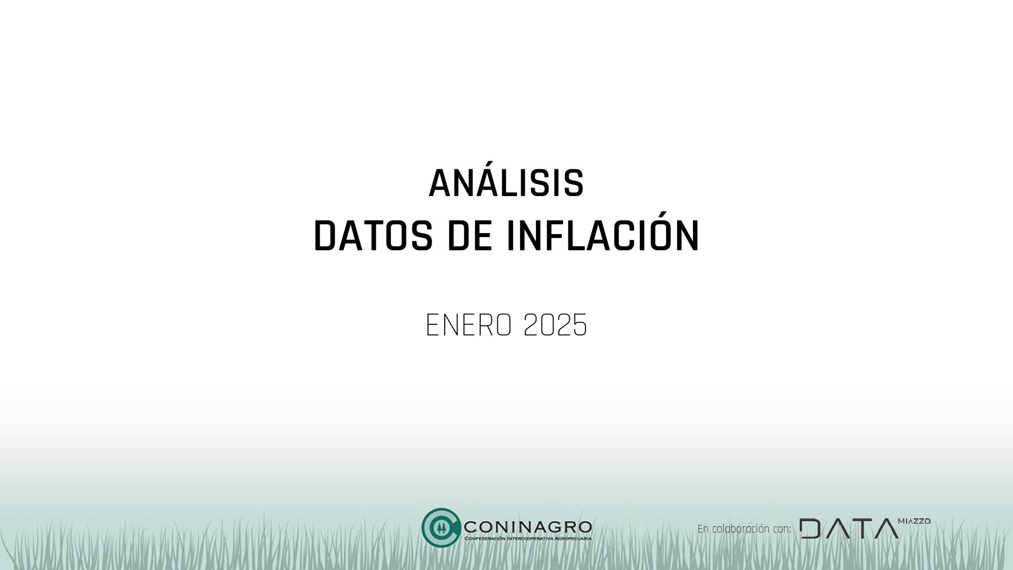 Inflación y alimentos: ¿Qué productos subieron más en enero 2025?