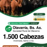 Colombo y Magliano S.A. | Olavarría | Próximo Remate Feria el miércoles 5 de Febrero 2025