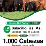 Colombo y Magliano S.A. | Saladillo | Próximo Remate Feria el miércoles 19 de Febrero 2025