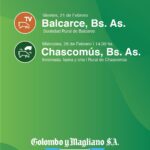 Colombo y Magliano S.A | Chascomús | Próximo Remate Feria el miércoles 26 de Febrero 2025