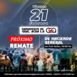 Ganaderos de General Acha S.A. | General Acha | Próximo Remate Feria el viernes 21 de Febrero 2025