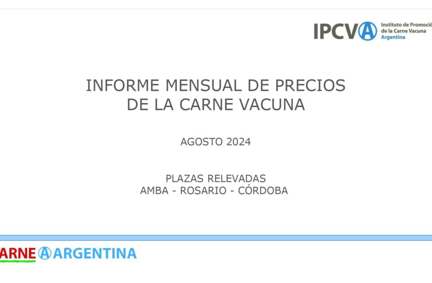 Precios de la carne en agosto 2024: variaciones y tendencias en AMBA, Rosario y Córdoba