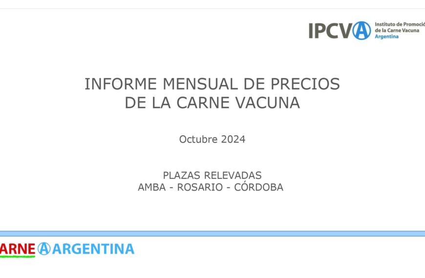 Evolución de los Precios de la Carne en Octubre 2024: Tendencias y Variaciones