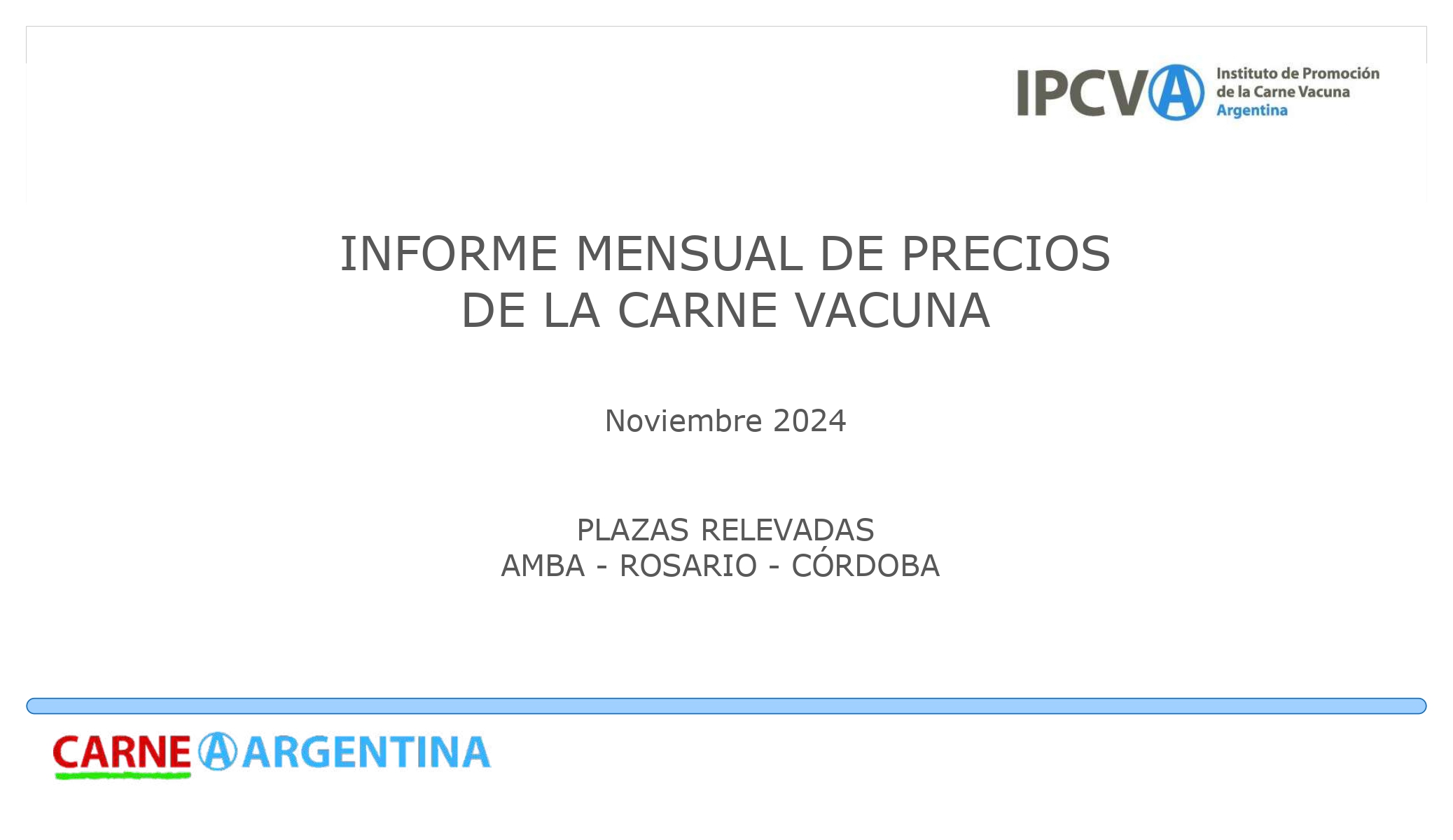 Los precios de la carne vacuna en noviembre: Incrementos moderados y variaciones según la región – noviembre 2024