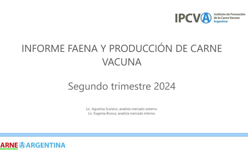 Faena y producción de carne en caída: impacto y perspectivas para el sector