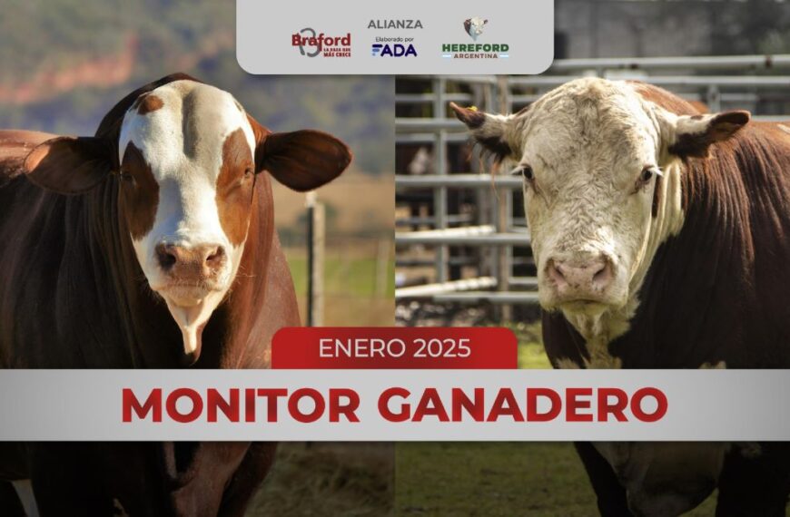 Producción y precios ganaderos: balance y tendencias en enero 2025