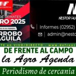 Néstor Hugo Fuentes S.A. | Algarrobo del Águila | Próximo Remate Feria el Miércoles 19 de Febrero 2025