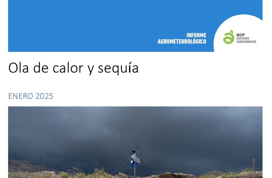 Ola de calor y sequía en enero 2025: impacto en cultivos y disponibilidad hídrica