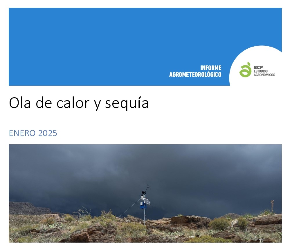 Ola de calor y sequía en enero 2025: impacto en cultivos y disponibilidad hídrica