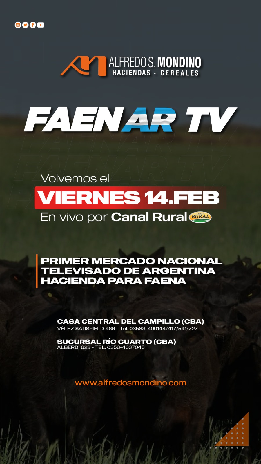 Alfredo S. Mondino | Del Campillo | Próximo Remate Feria el 14 de febrero 2025