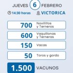 Vicar Ganadera S.A. | Victorica | Próximo Remate Feria el Jueves 6 de febrero 2025