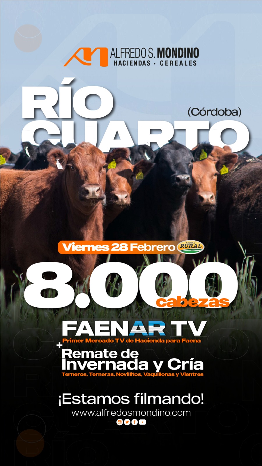 Alfredo S. Mondino | Río Cuarto, Cba. | Próximo Remate Feria el 28 de Febrero 2025