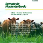 ATREU-CO | Macachín | Próximo Remate Feria el martes 18 febrero 2025