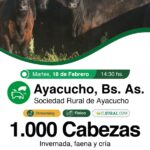 Colombo y Magliano S.A. | Ayacucho | Próximo Remate Feria el martes 18 de Febrero 2025