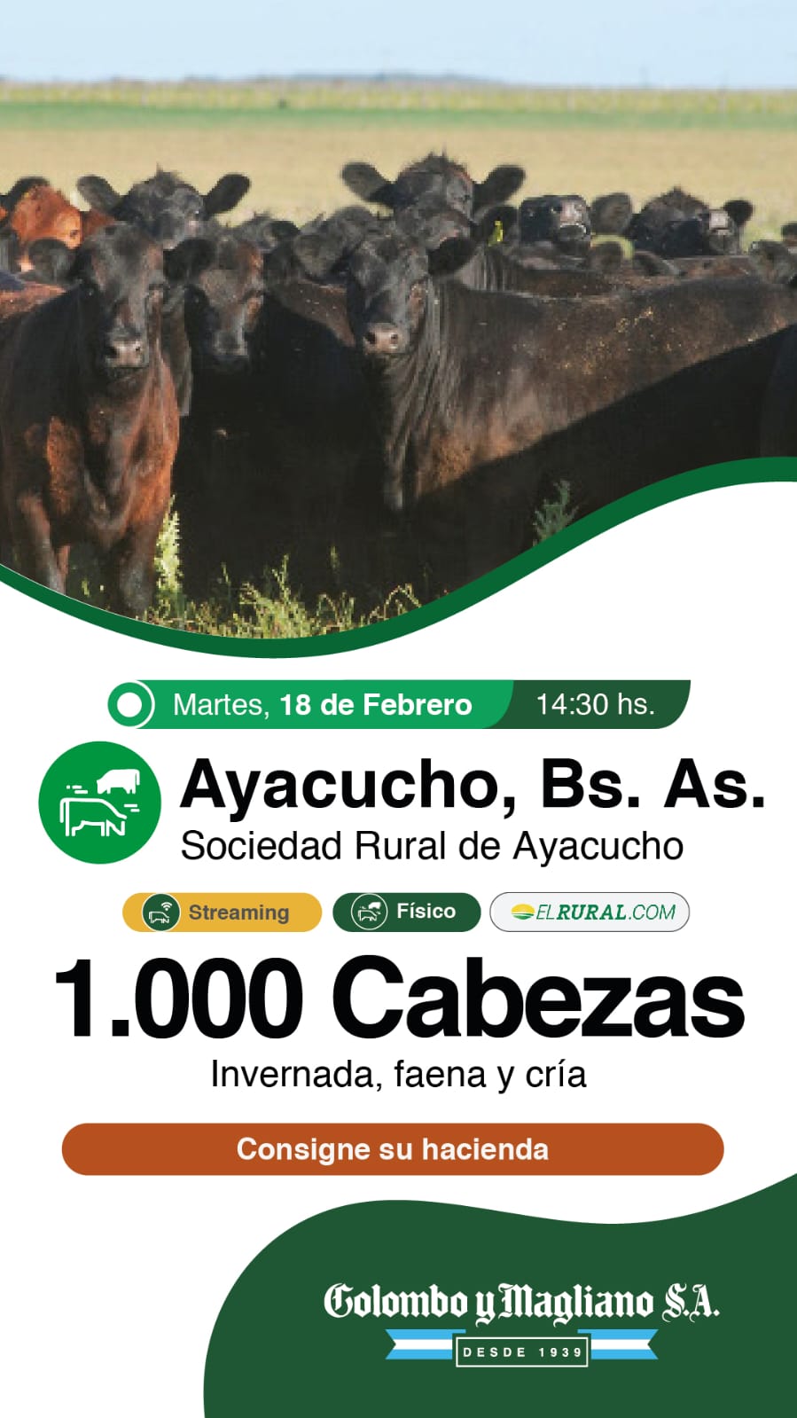 Colombo y Magliano S.A. | Ayacucho | Próximo Remate Feria el martes 18 de Febrero 2025