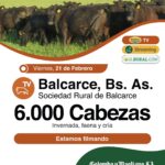 Colombo y Magliano S.A | Balcarce | Próximo Remate Feria el viernes 21 de Febrero 2025