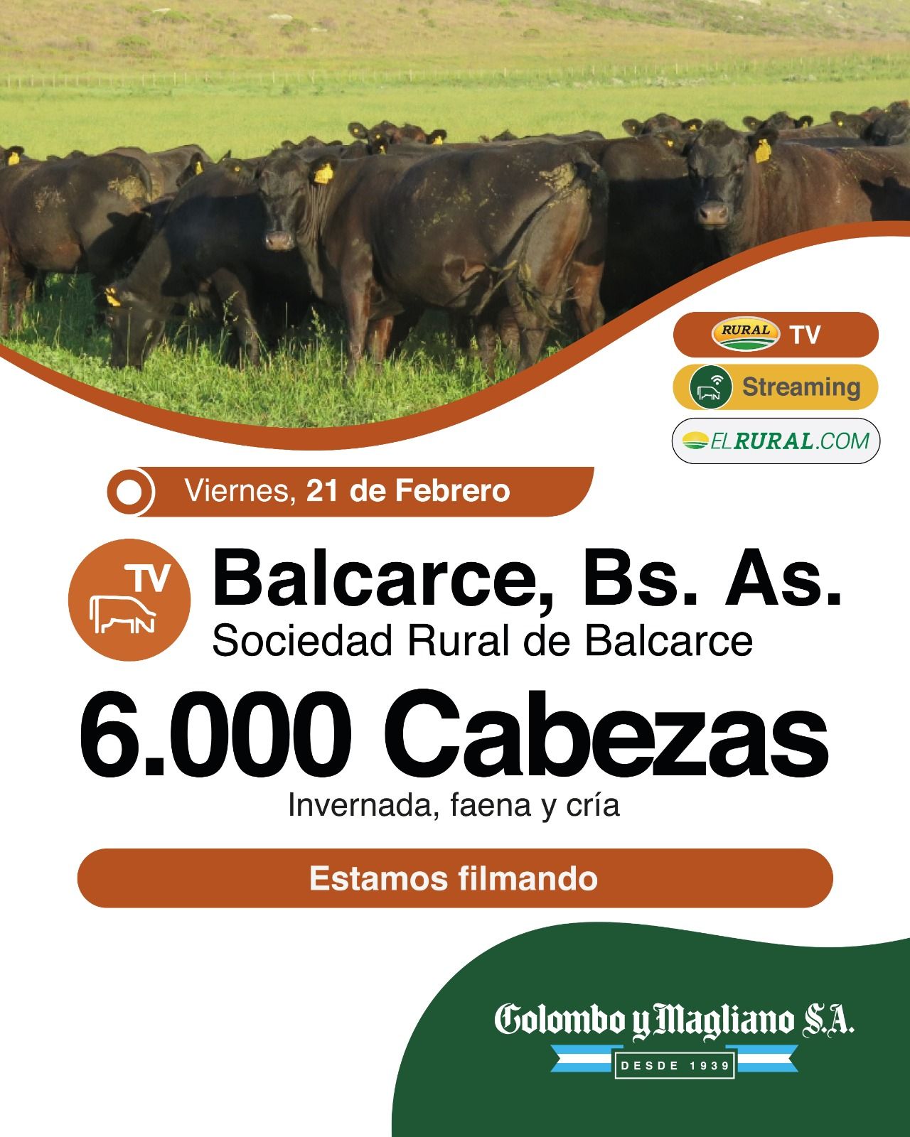 Colombo y Magliano S.A | Balcarce | Próximo Remate Feria el viernes 21 de Febrero 2025