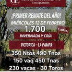 Ganaderos de Elordi S.A. y Sociedad Victorica S.R.L. | Victorica | Próximo Remate Feria el miércoles 12 de febrero de 2025