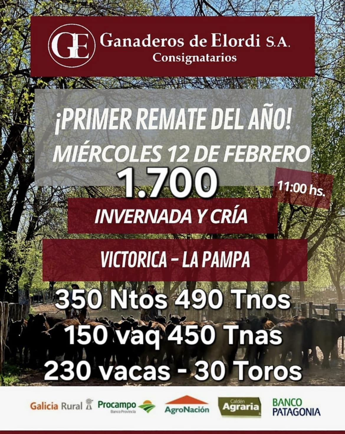 Ganaderos de Elordi S.A. y Sociedad Victorica S.R.L. | Victorica | Próximo Remate Feria el miércoles 12 de febrero de 2025