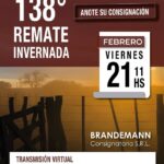 Brandemann Consignataria S.R.L | Eduardo Castex, La Pampa | Próximo Remate Feria el Viernes 21 de febrero de 2025