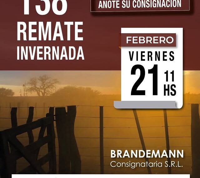 Brandemann Consignataria S.R.L | Eduardo Castex, La Pampa | Próximo Remate Feria el Viernes 21 de febrero de 2025