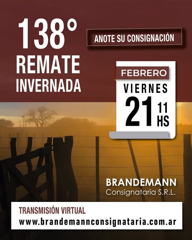 Brandemann Consignataria S.R.L | Eduardo Castex, La Pampa | Próximo Remate Feria el Viernes 21 de febrero de 2025