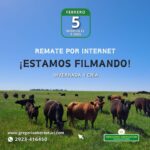 Gregorio Aberasturi SRL | Por Internet | Próximo Remate Feria el miércoles 05 febrero 2025