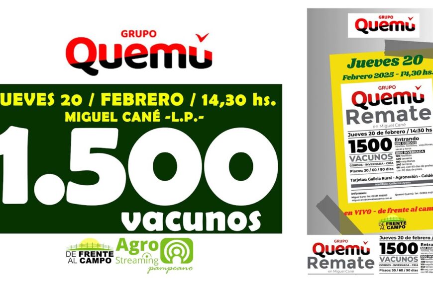 Grupo Quemú | Miguel Cané, La Pampa | Próximo Remate Feria el Jueves 20 de febrero 2025