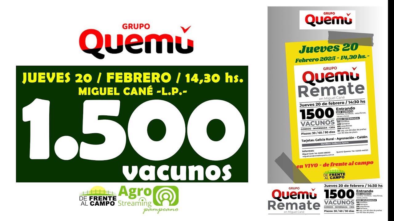 Grupo Quemú | Miguel Cané, La Pampa | Próximo Remate Feria el Jueves 20 de febrero 2025