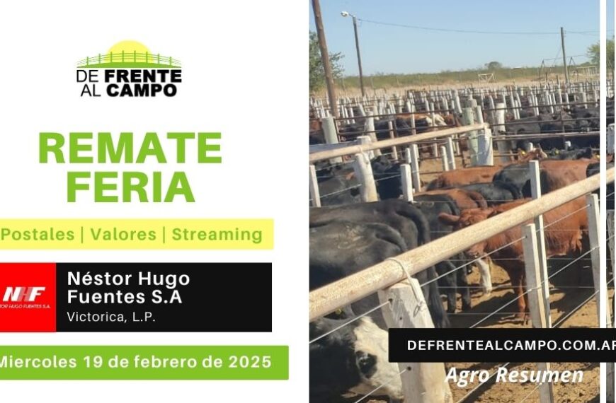 Remate Feria de Néstor Hugo Fuentes S.A. | Victorica, La Pampa | 19/02/2025