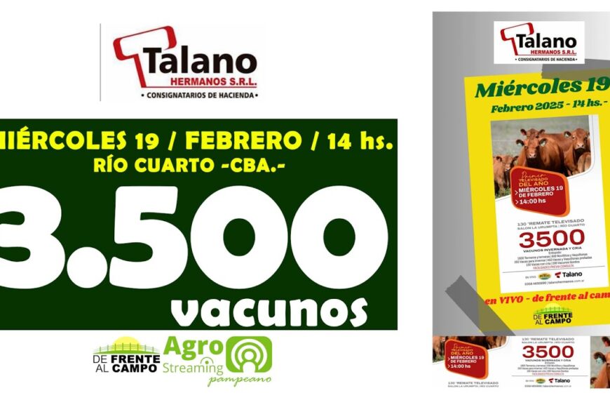 Remate Feria de Talano Hnos. | Salón La Urumpta, Río Cuarto | 19/02/2025