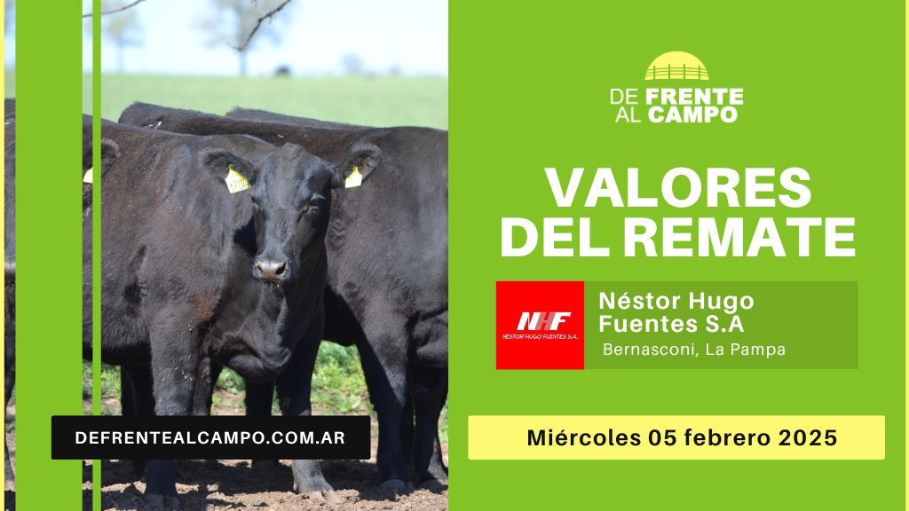 Valores del Remate de Néstor Hugo Fuentes S.A. | Bernasconi, La Pampa | 05/02/2025