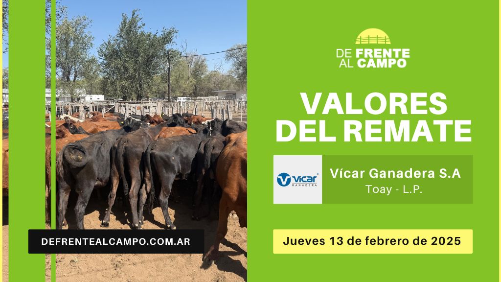 Valores del remate de Vicar Ganadera S.A. | Toay, La Pampa | Jueves 13/02/2025