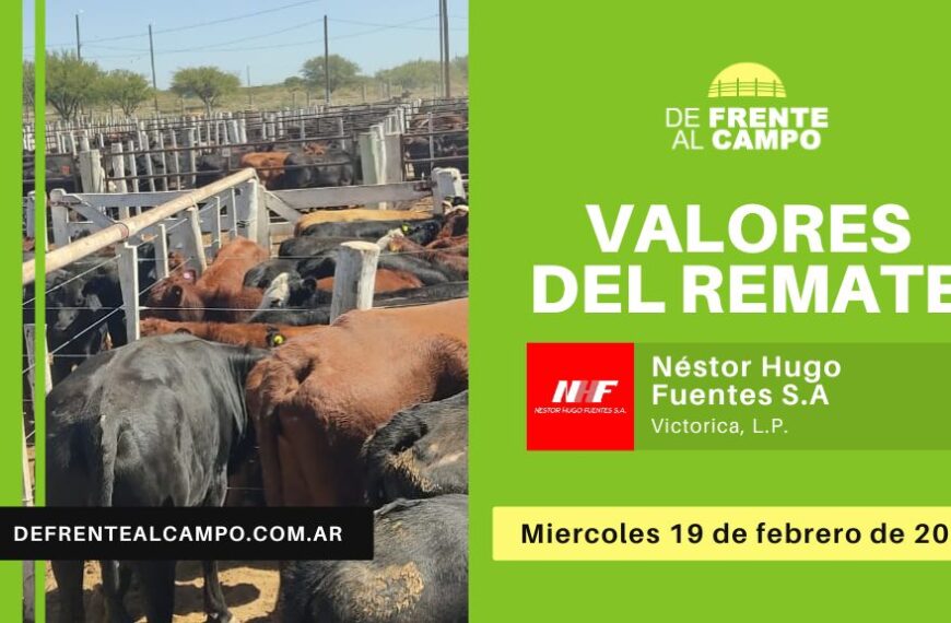 Valores del remate de Néstor Hugo Fuentes S.A. | Victorica, La Pampa | Miércoles 19/02/2025