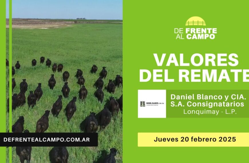 Valores del remate de Daniel Blanco y Cía. S.A. | Lonquimay | Jueves 20/02/2025