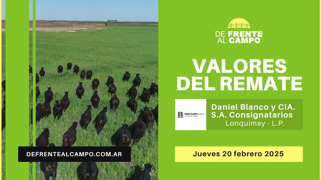 Valores del remate de Daniel Blanco y Cía. S.A. | Lonquimay | Jueves 20/02/2025