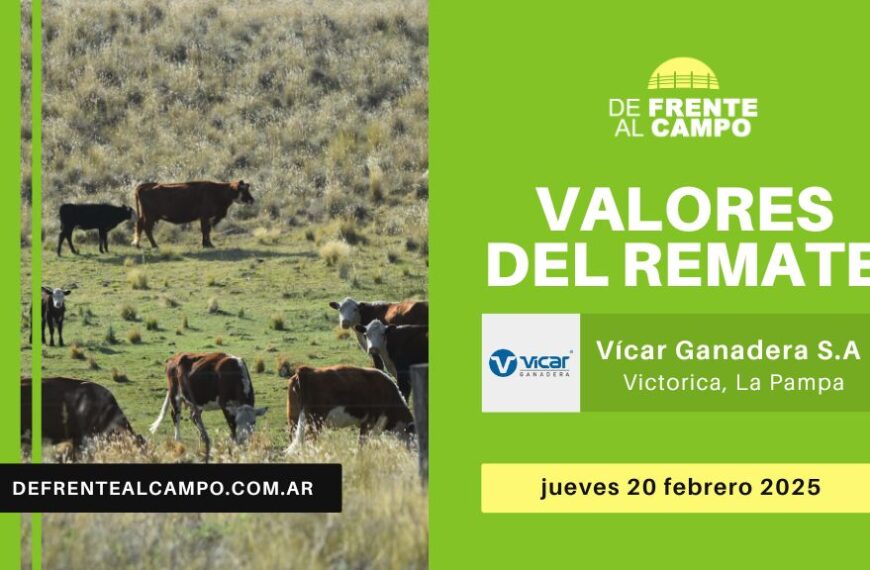 Valores del remate de Vicar Ganadera S.A. | Victorica | jueves 20/02/2025