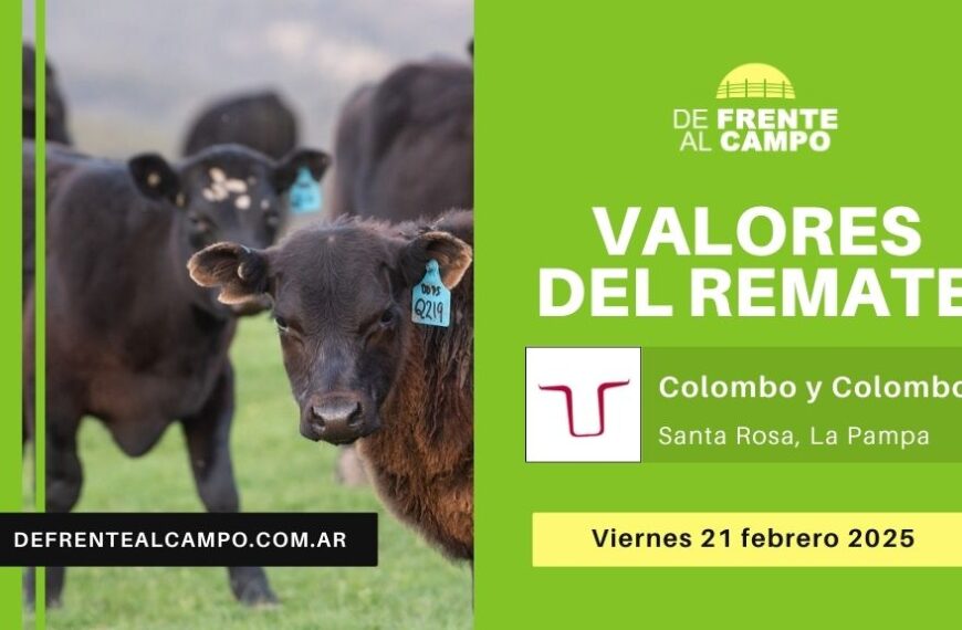 Valores del remate de Colombo y Colombo | Santa Rosa, La Pampa | Viernes 21/02/2025