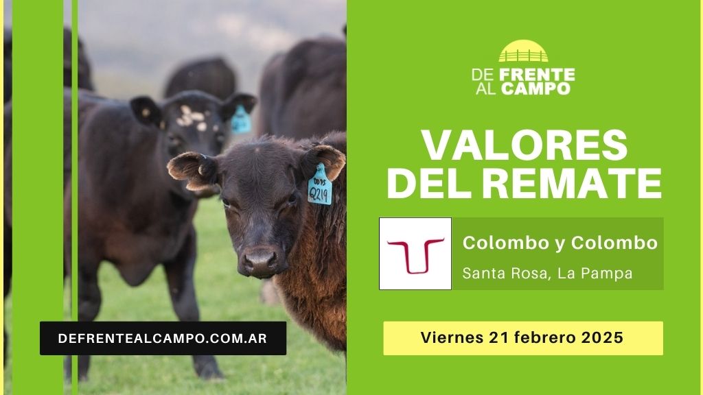 Valores del remate de Colombo y Colombo | Santa Rosa, La Pampa | Viernes 21/02/2025