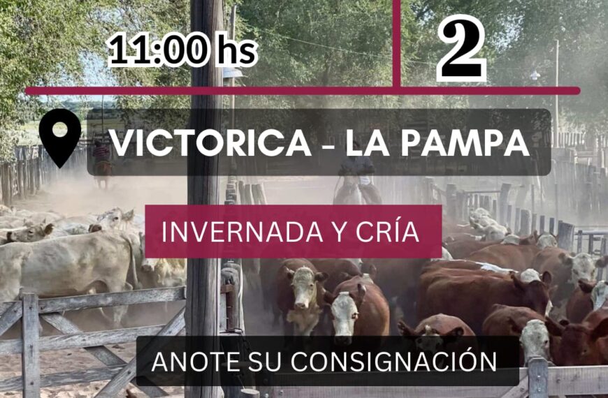 Ganaderos de Elordi S.A. | Victorica | Próximo Remate Feria el 2 de abril