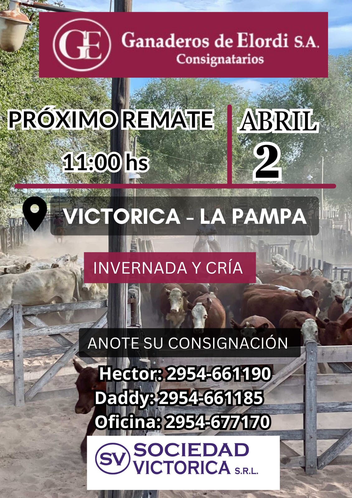 Ganaderos de Elordi S.A. | Victorica | Próximo Remate Feria el 2 de abril