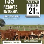 Brandemann Consignataria S.R.L. | Salón Racing Club, Eduardo Castex | Próximo Remate Feria el Viernes 21 de marzo 2025