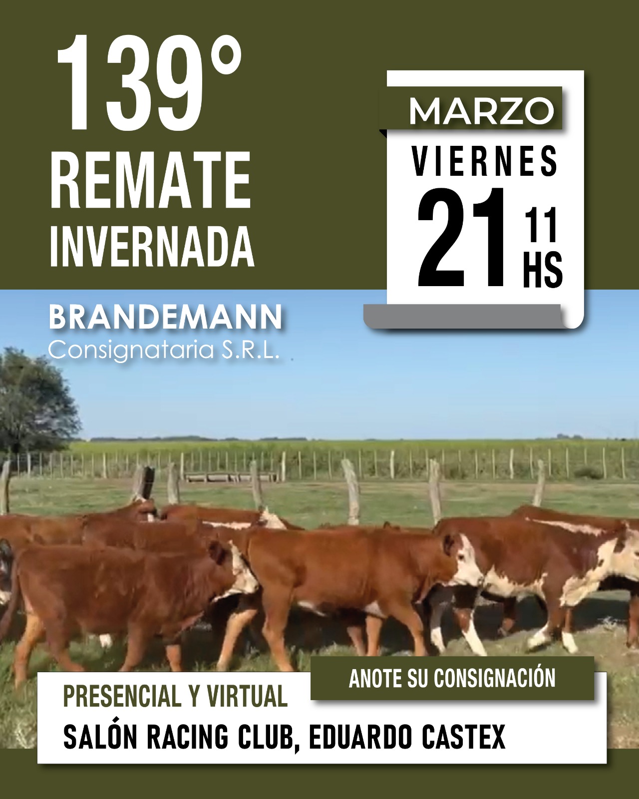 Brandemann Consignataria S.R.L. | Salón Racing Club, Eduardo Castex | Próximo Remate Feria el Viernes 21 de marzo 2025