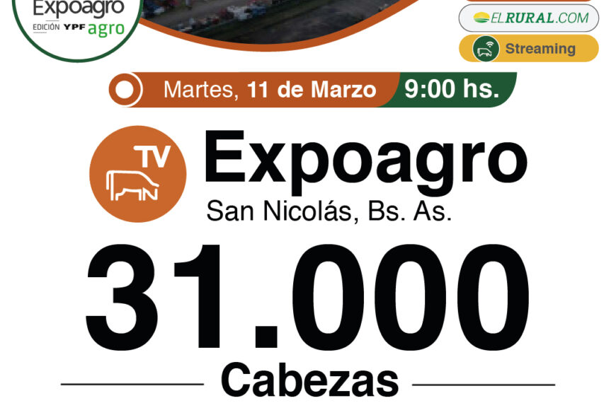 Colombo y Magliano S.A. | San Nicolás, Buenos Aires | Próximo Remate Feria el Martes 11 de marzo de 2025