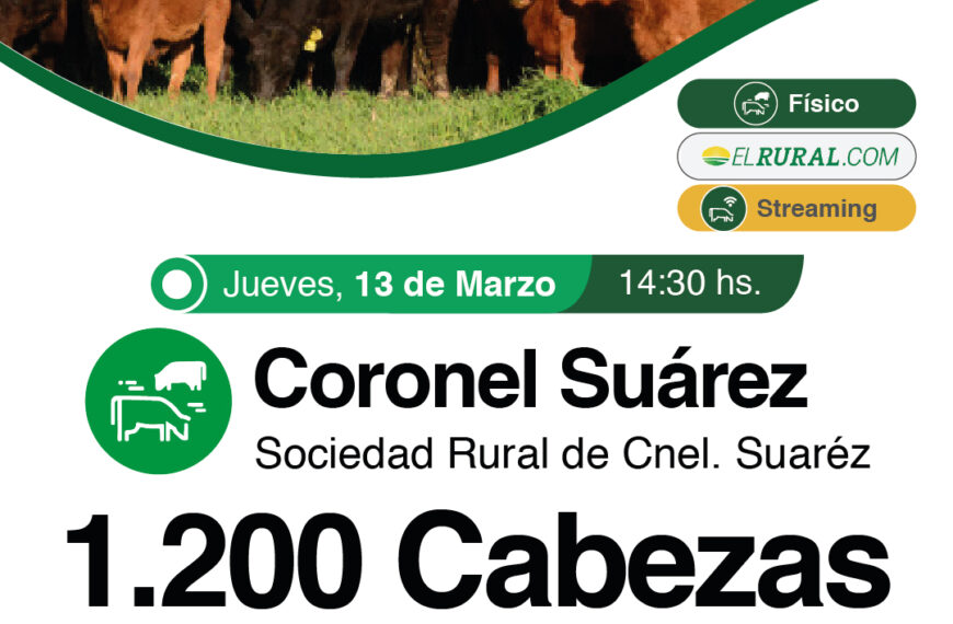 Colombo y Magliano S.A. | Sociedad Rural de Coronel Suárez, Buenos Aires | Próximo Remate Feria el Jueves 13 de marzo de 2025