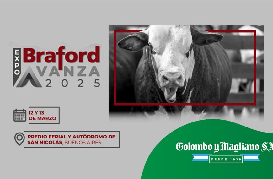 Colombo y Magliano S.A. | Predio Ferial y Autódromo de San Nicolás, Buenos Aires | Próximo Remate Feria el 13 de marzo de 2025