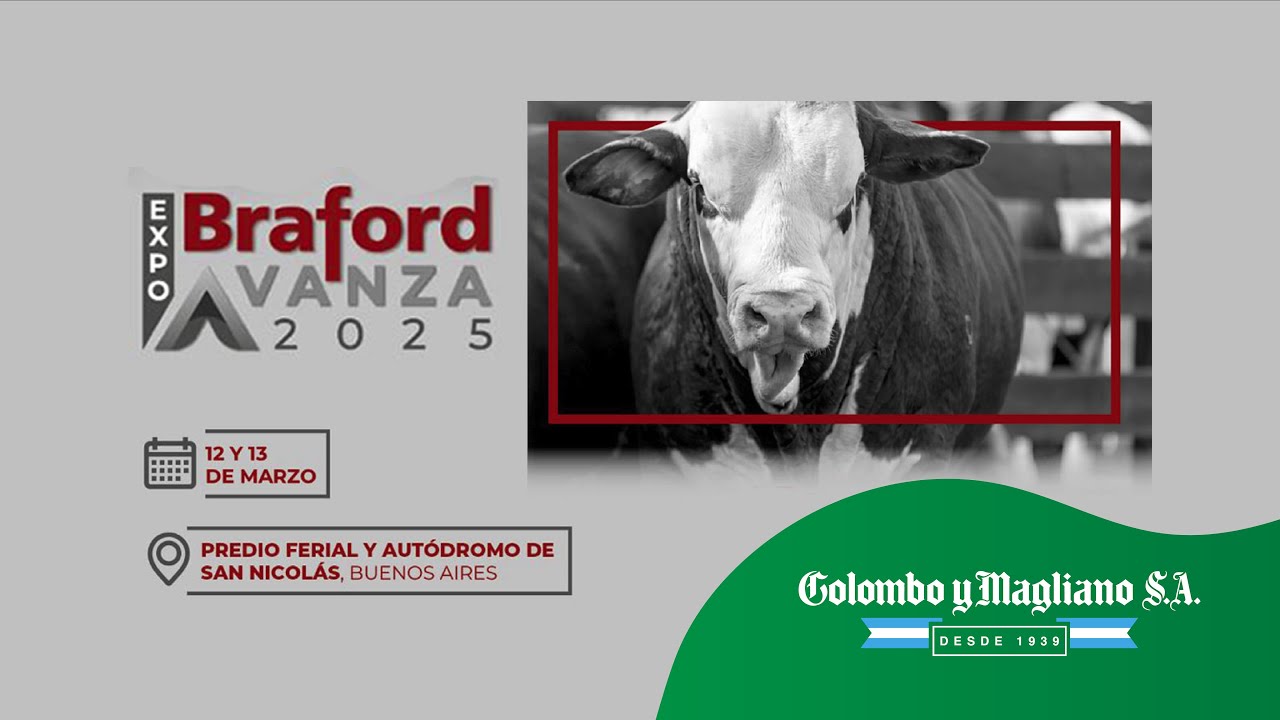 Colombo y Magliano S.A. | Predio Ferial y Autódromo de San Nicolás, Buenos Aires | Próximo Remate Feria el 13 de marzo de 2025