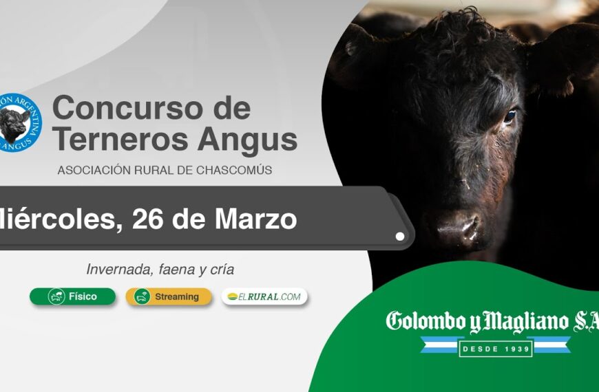 Colombo y Magliano S.A. | Asociación Rural de Chascomús | Próximo Remate Feria el Miércoles 26 de marzo de 2025