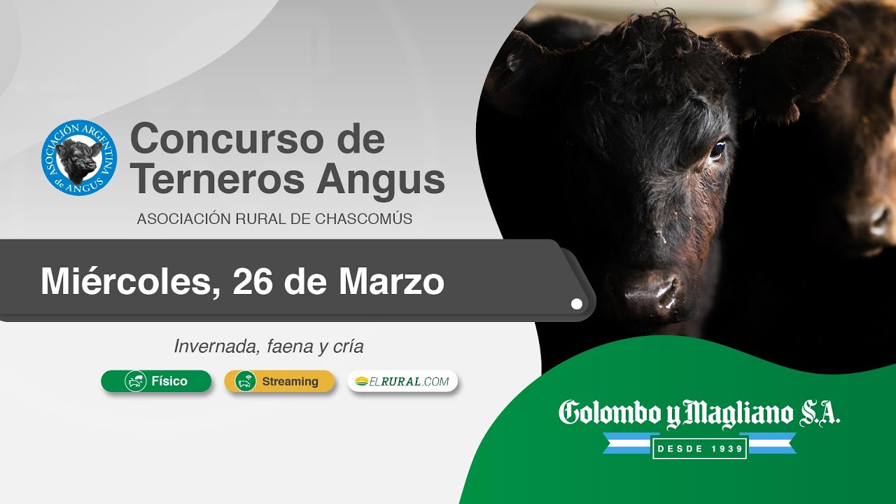 Colombo y Magliano S.A. | Asociación Rural de Chascomús | Próximo Remate Feria el Miércoles 26 de marzo de 2025