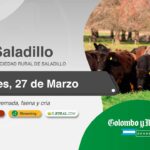 Colombo y Magliano S.A. | Sociedad Rural de Saladillo, Buenos Aires | Próximo Remate Feria el Jueves, 27 de marzo de 2025 – 10 am